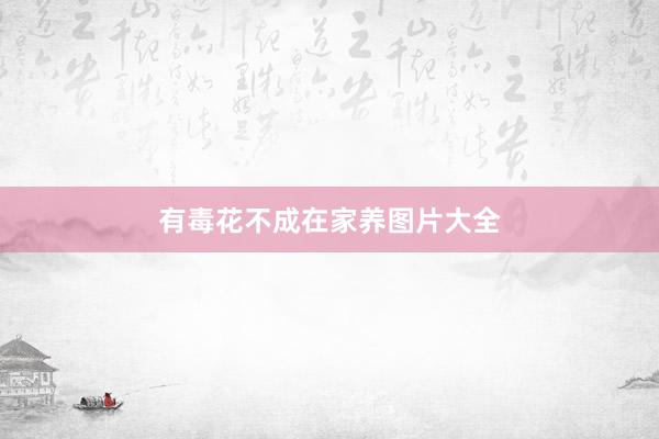 有毒花不成在家养图片大全