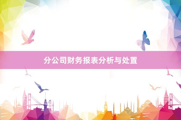 分公司财务报表分析与处置