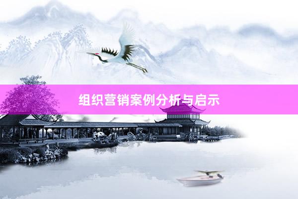 组织营销案例分析与启示